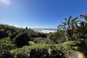 Screenshot 2023-10-06 103547