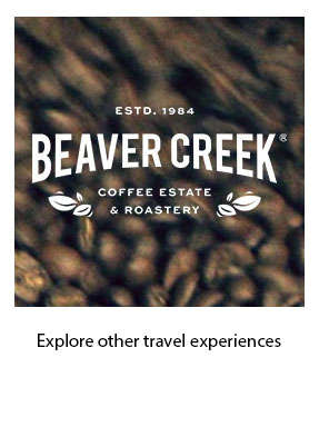 Ramsgate Attractions